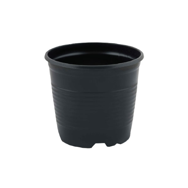Čašica za rasada 7cm